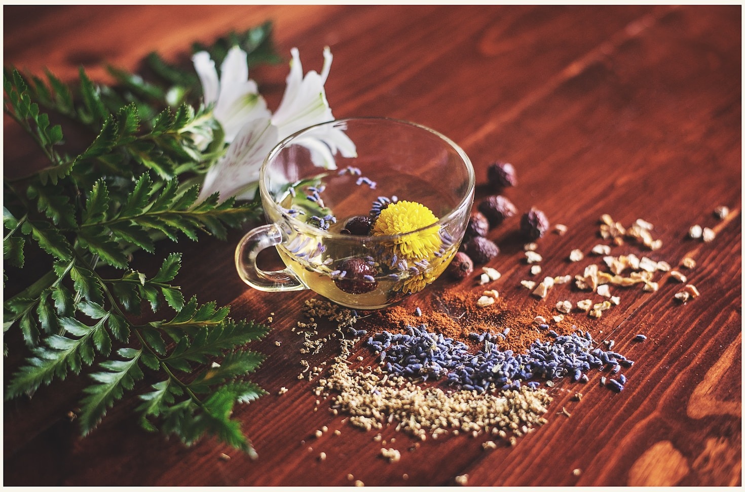 The Science Behind Herbal Tea Benefits